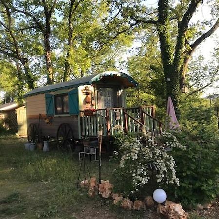 Villa la brindille Roulotte Tzigane de charme Saint-Paul-en-Forêt Esterno foto